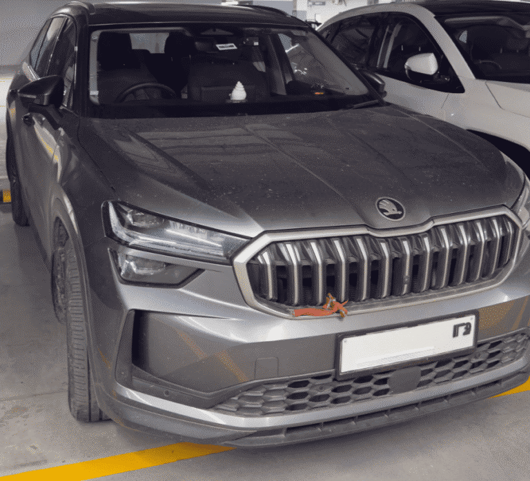 Kodiaq LK owned by Dinesh Patel